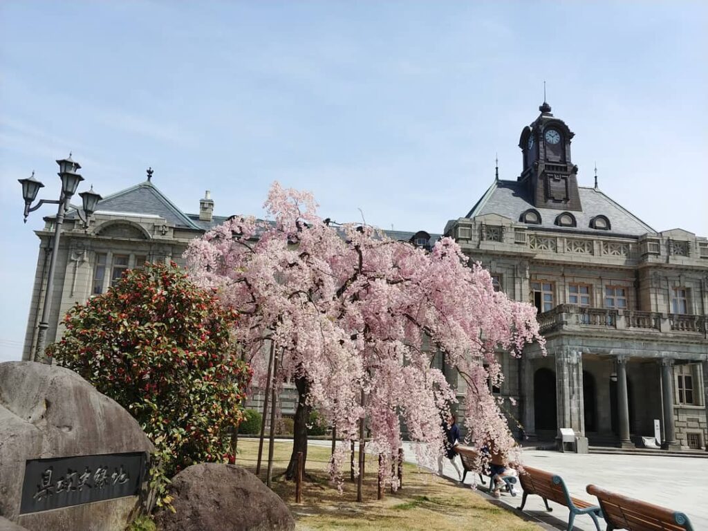 しだれ桜と、時計塔のある文翔館