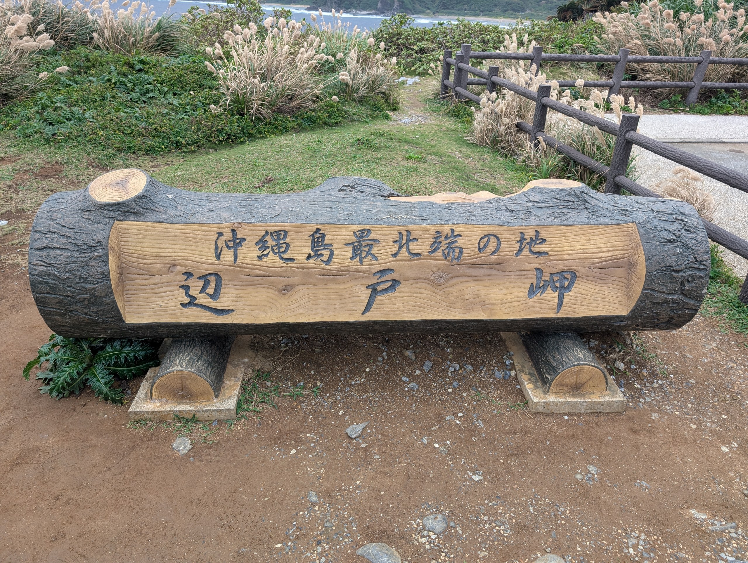 丸太に「沖縄島最北端の地 辺戸岬」と書かれた看板。後ろにススキと柵
